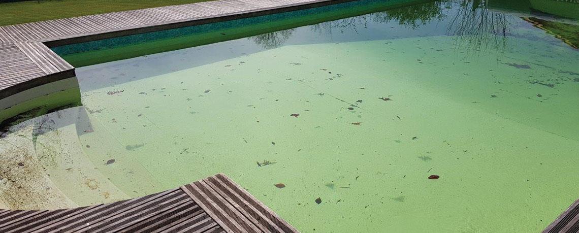 Conseils pratiques pour éviter que votre piscine ne redevienne verte
