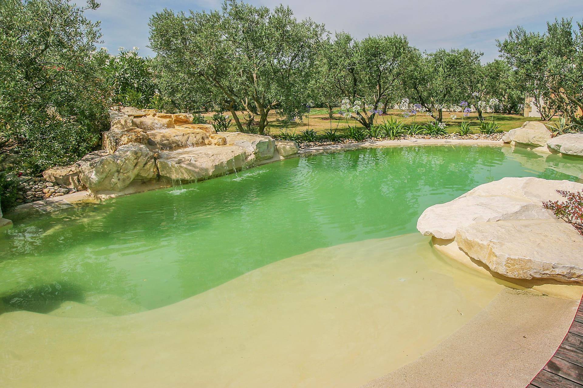 Concept et fonctionnement du bassin naturel de baignade