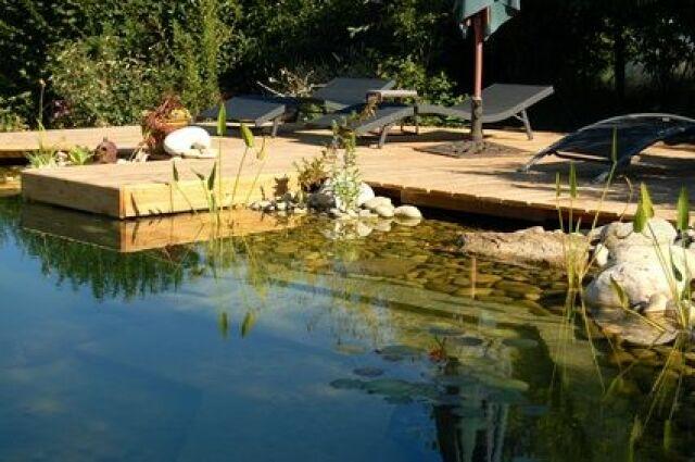 Comprendre la Composition des Kits Piscine Naturelle pour Évaluer Leur Coût