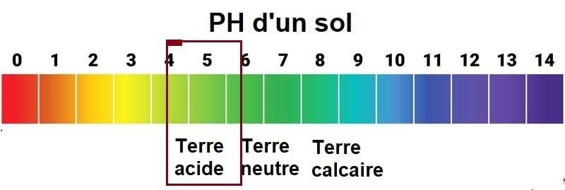 Comprendre les Causes d’un pH Trop Élevé dans Votre Sol