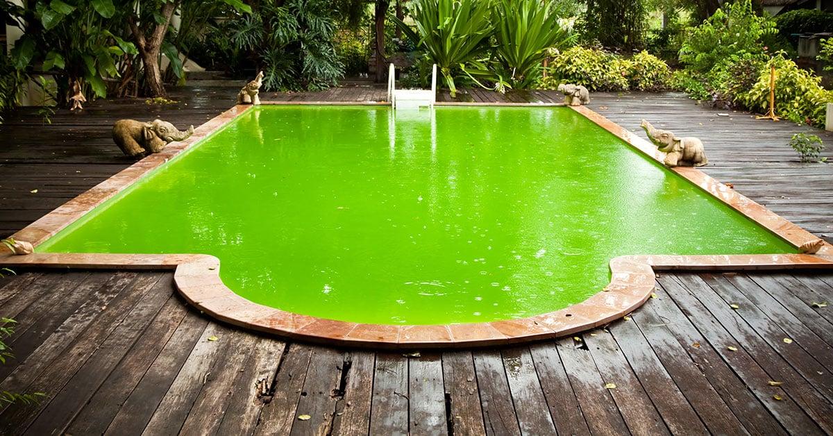 Comprendre les causes courantes de la piscine verte en été