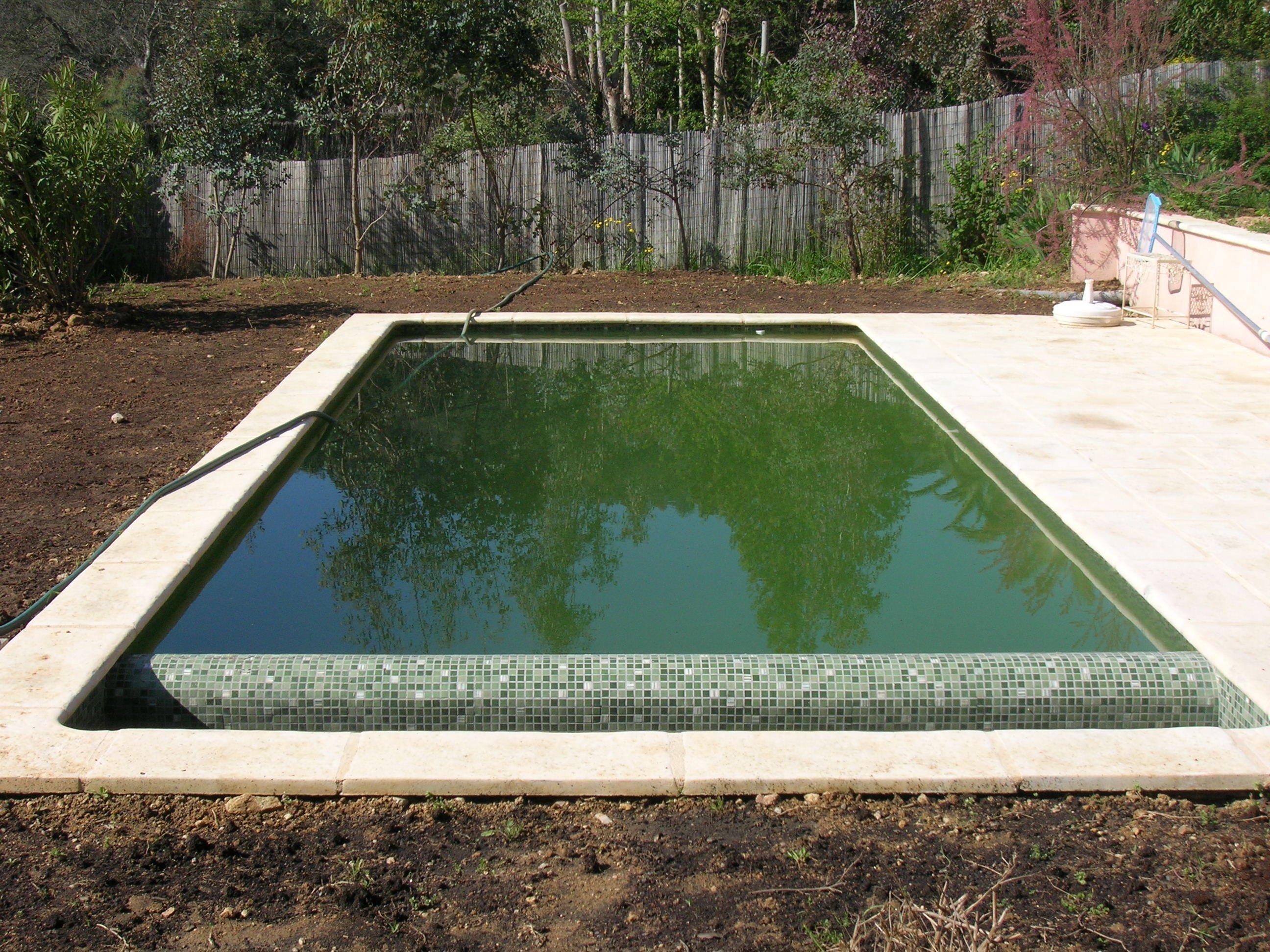 Comprendre les causes fréquentes de l’apparition d’une piscine verte