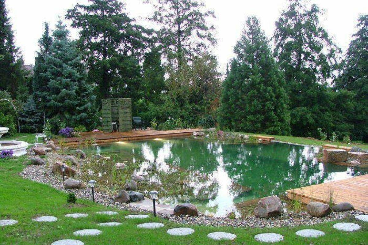 Plantes aquatiques essentielles pour un équilibre biologique optimal