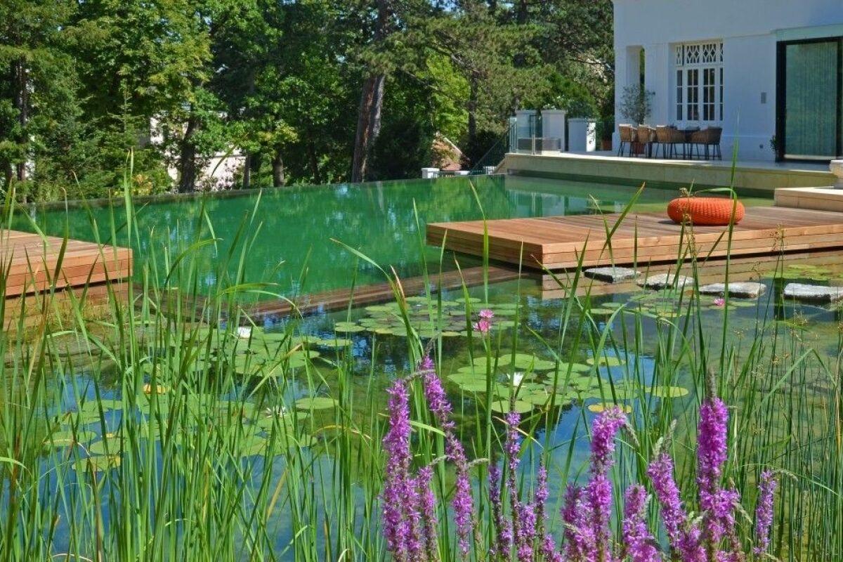 Conseils pratiques pour l’entretien et la rénovation d’une piscine naturelle
