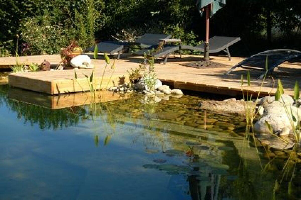Entretenir et préserver l’équilibre écologique de sa piscine naturelle