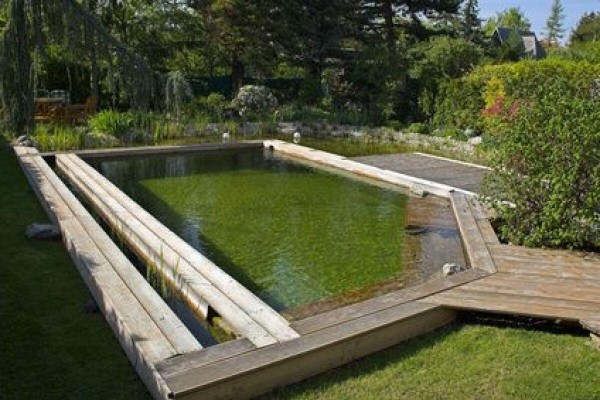 Avantages et limites des piscines sans chlore pour la santé et l’environnement