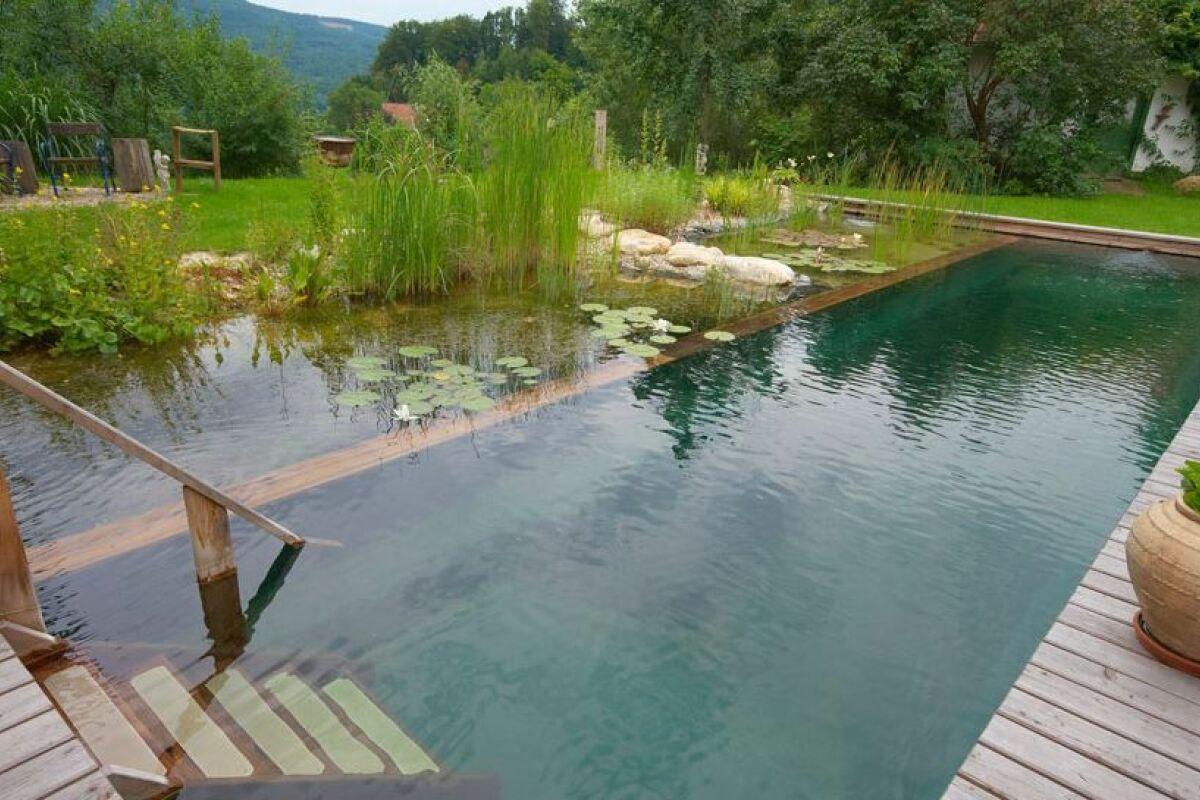 Choisir l’emplacement idéal pour un bassin naturel