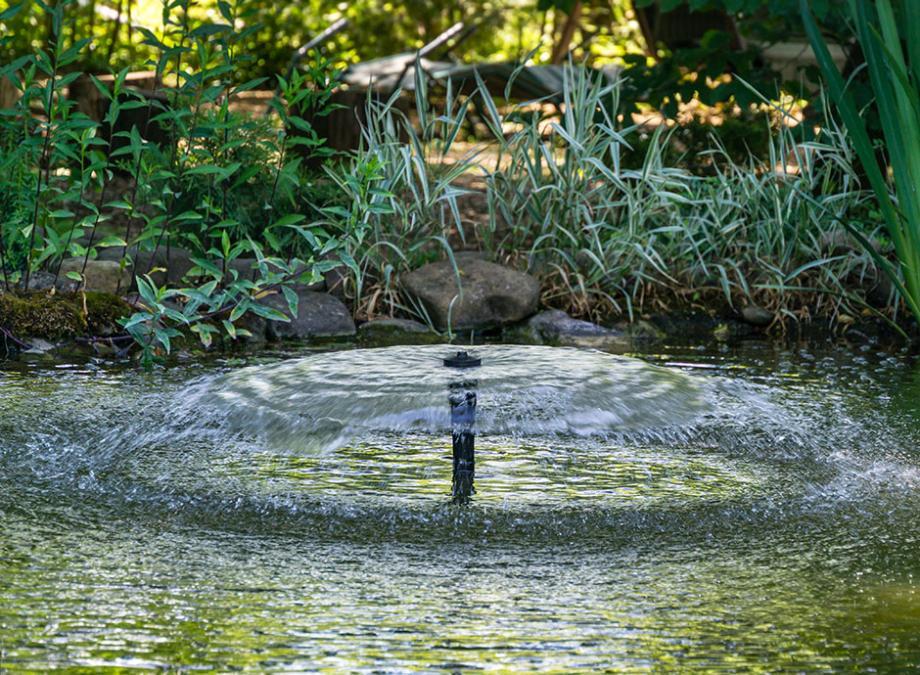 Conseils pratiques pour l'entretien et la durabilité des bassins verts