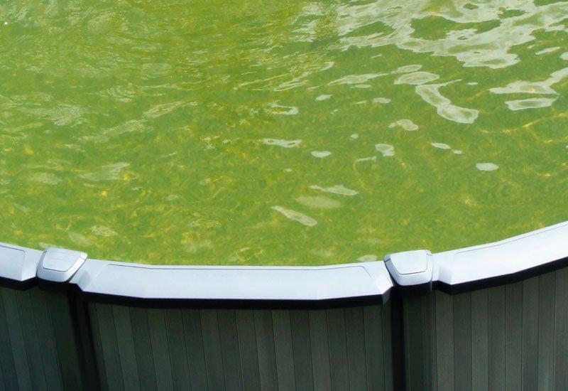 Ph Trop Haut Piscine : Solutions Efficaces