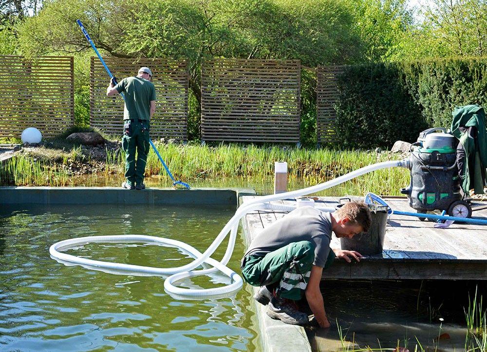Comment Nettoyer Une Piscine Naturelle ?