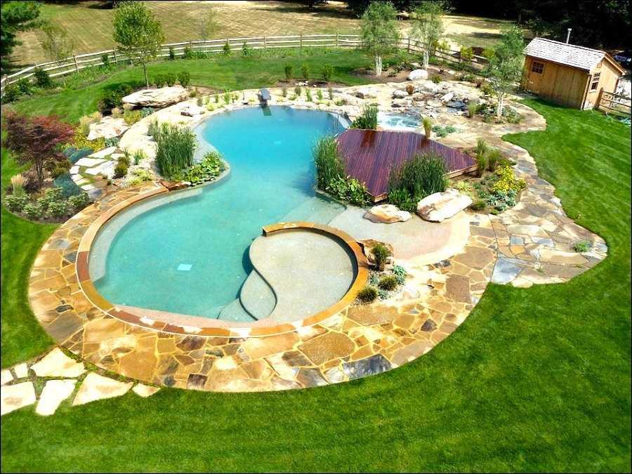 Coût Entretien Piscine Naturelle