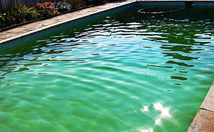 Comment Récupérer Une Piscine Verte ?