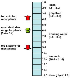 Impact d’un pH alcalin sur la santé des plantes et de la faune aquatique