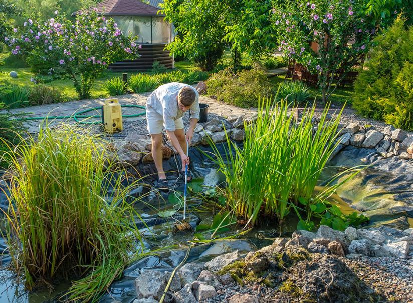 Techniques simples pour entretenir la qualité de l'eau toute l'année