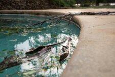 Comprendre les causes de la turbidité de la piscine après un orage