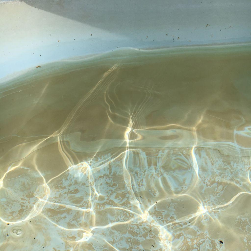 Piscine Marron : Causes Et Solutions