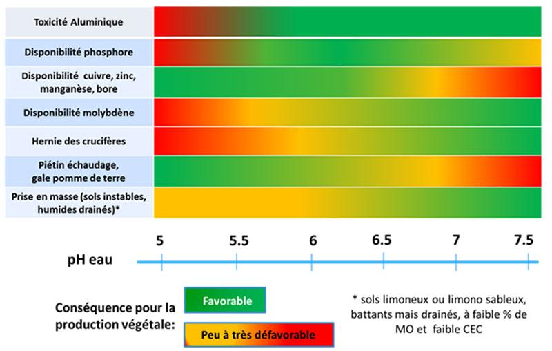 Les Effets d’un pH Élevé sur la Croissance des Plantes