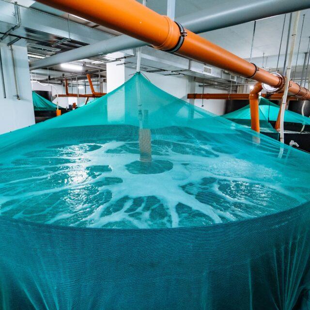 Principe de fonctionnement de l’ozone dans le traitement de l’eau