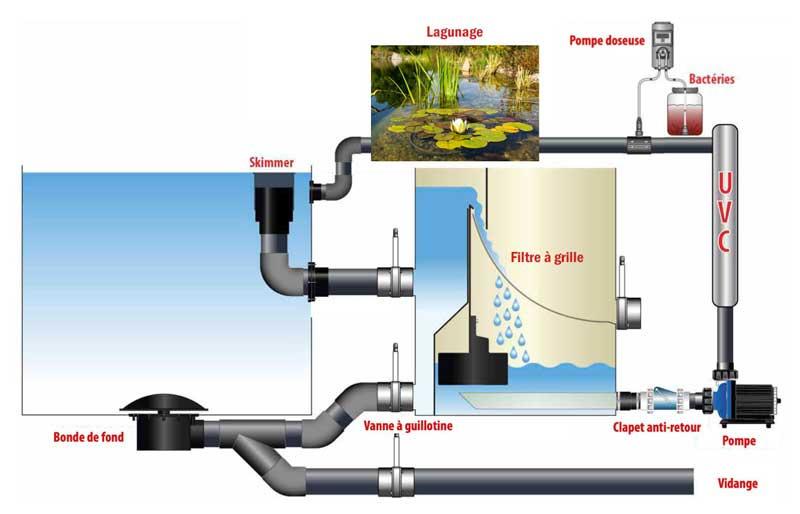 Guide Installation Piscine Naturelle
