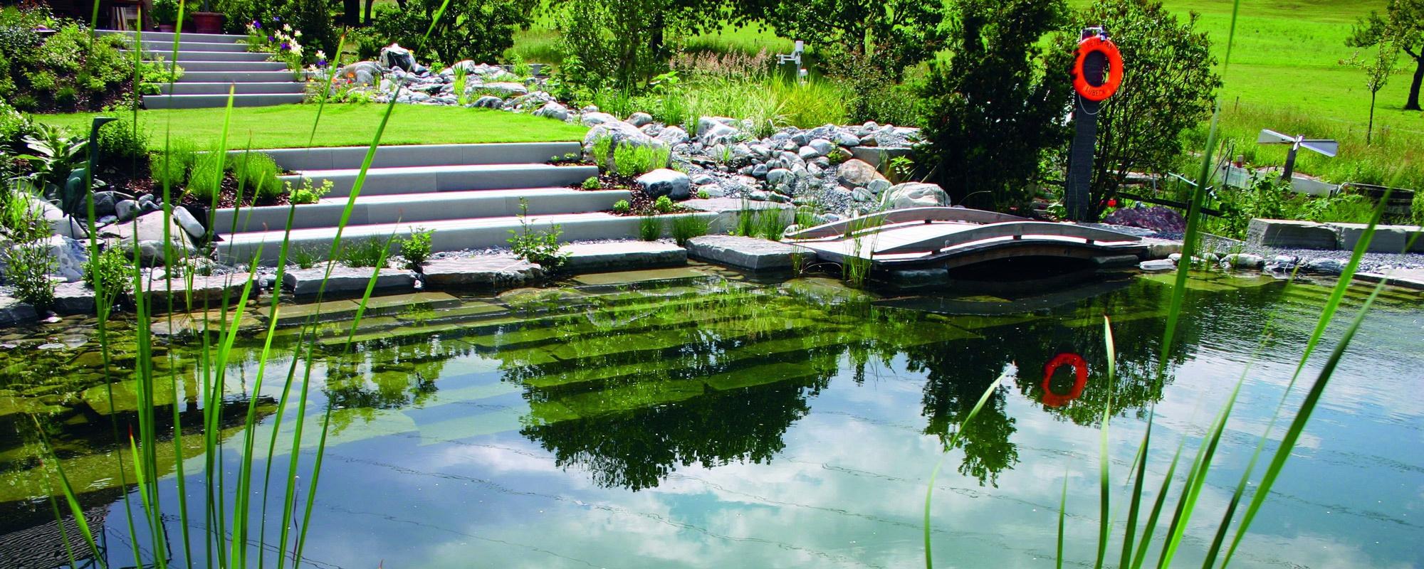 Tendance 2025 : Piscines Naturelles En Ville