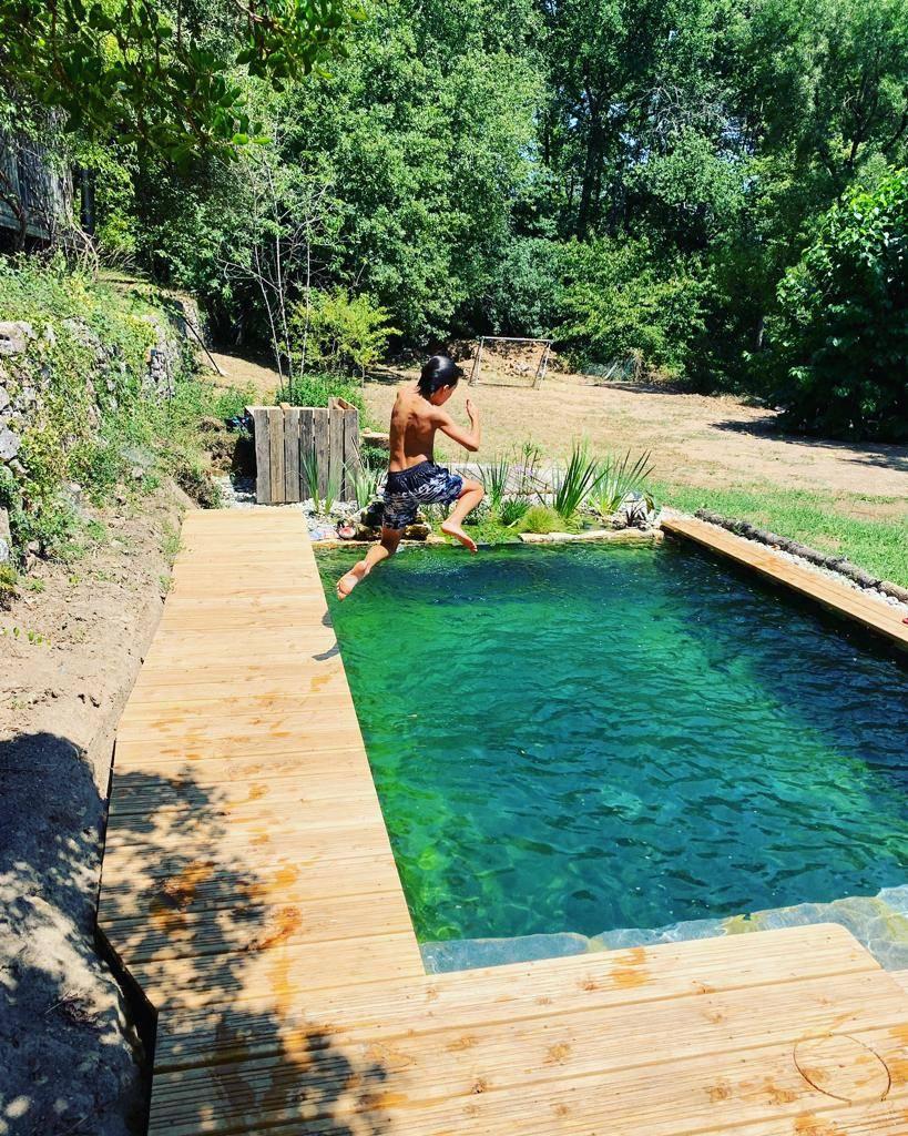 Les matériaux et techniques pour optimiser la filtration naturelle de votre piscine bois