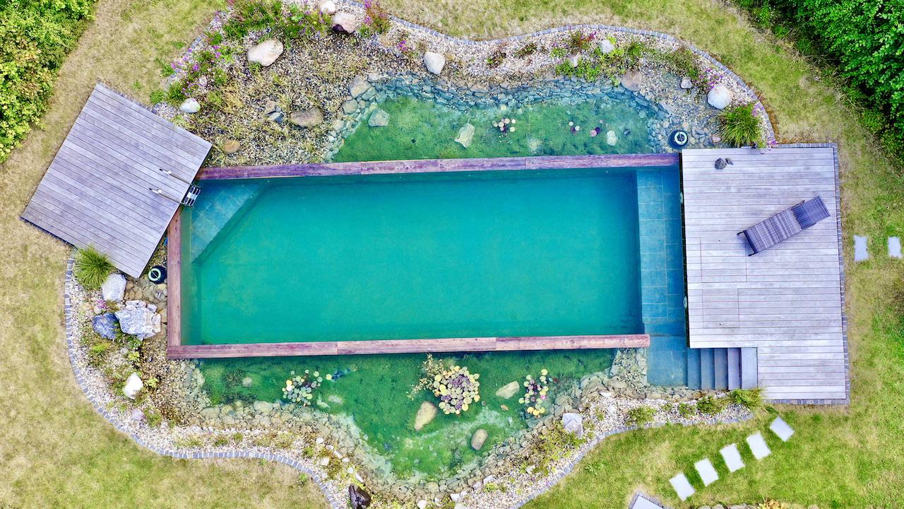 Les fondamentaux des piscines naturelles : comprendre leur fonctionnement écologique