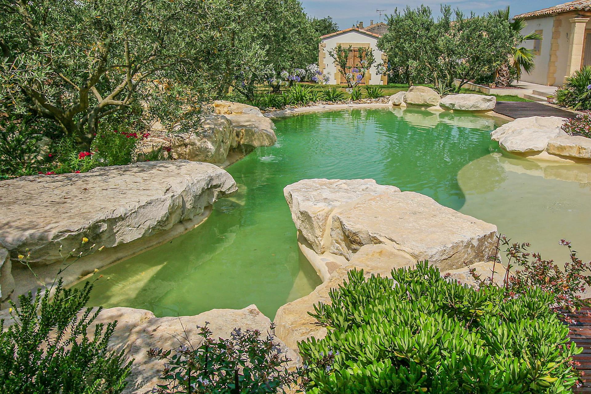 Choisir le site idéal pour une piscine naturelle en harmonie avec son environnement