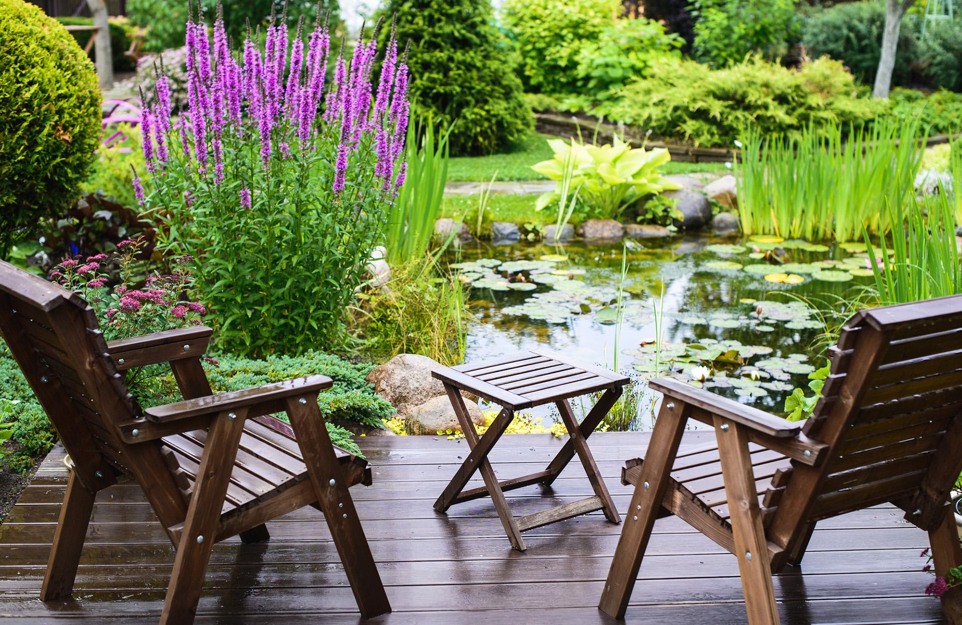 Sélection des plantes aquatiques adaptées à votre environnement