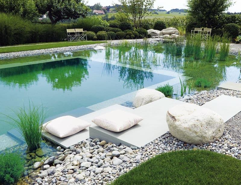 Choix de l’emplacement idéal pour une piscine naturelle