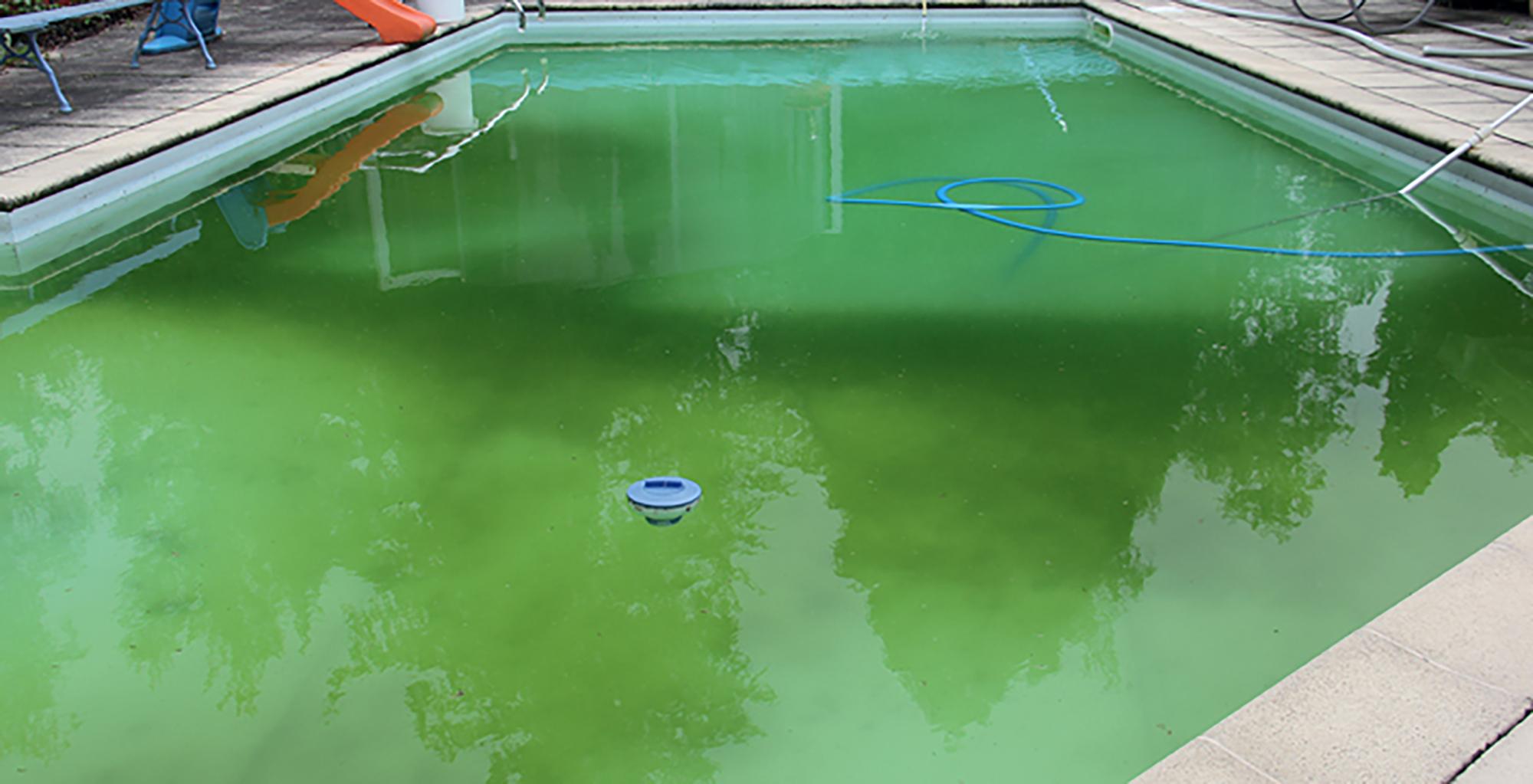 Les avantages du chlore choc pour une eau de piscine claire