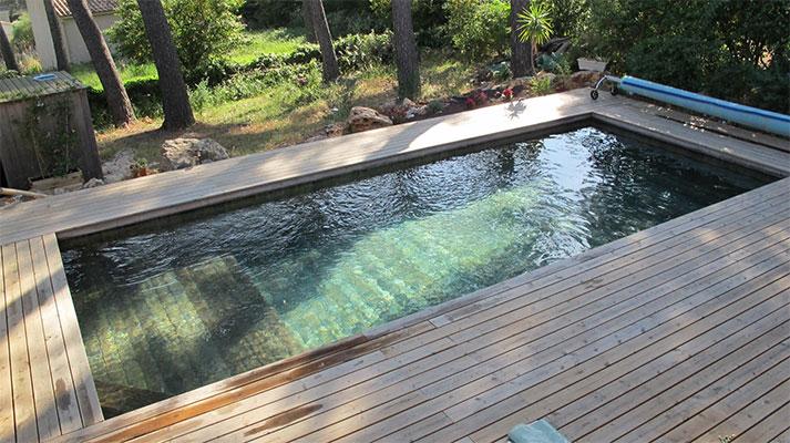 Piscine bois avec filtration naturelle une harmonie entre design et écologie