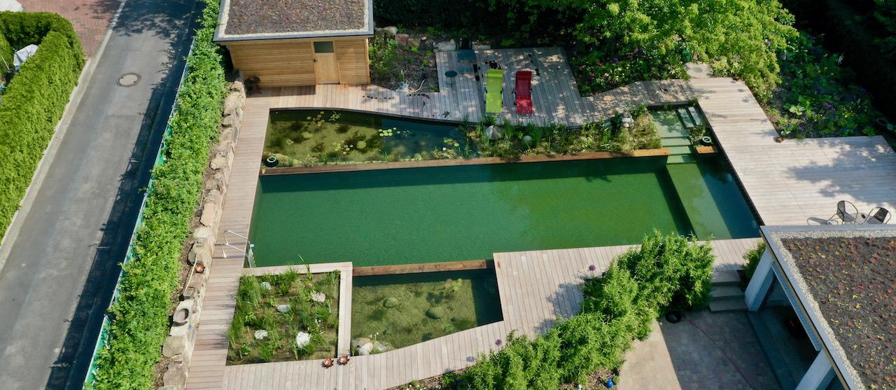 Tiraillements écologiques et esthétiques des piscines naturelles urbaines