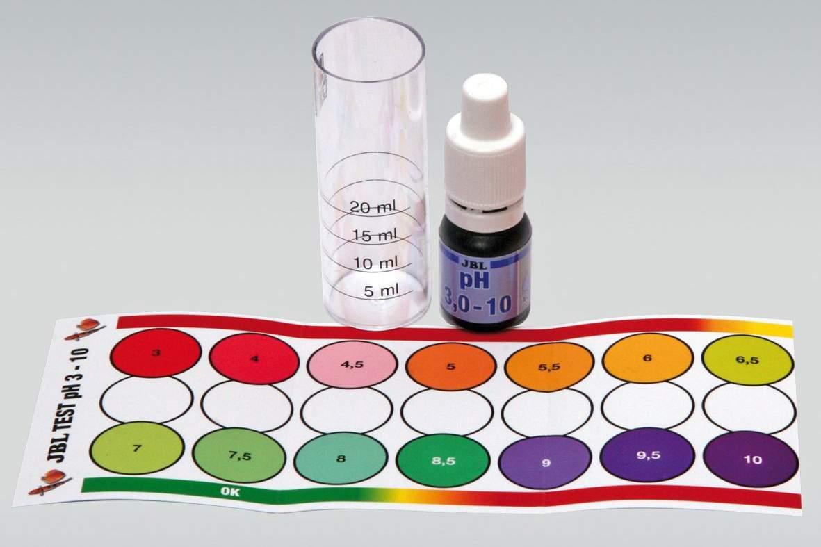 Conseils pratiques pour prévenir la montée excessive du pH dans votre aquarium ou bassin