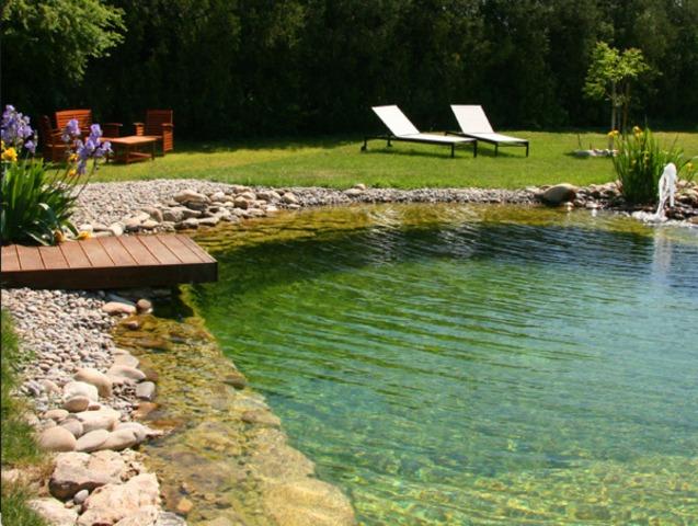 Avantages environnementaux et impact écologique de chaque type de piscine