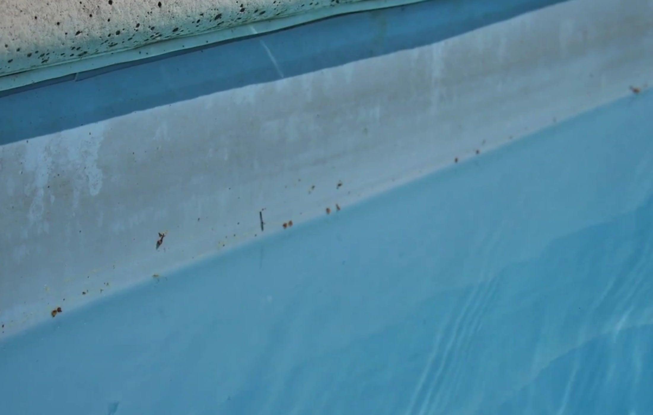 Techniques efficaces pour un nettoyage approfondi du liner piscine