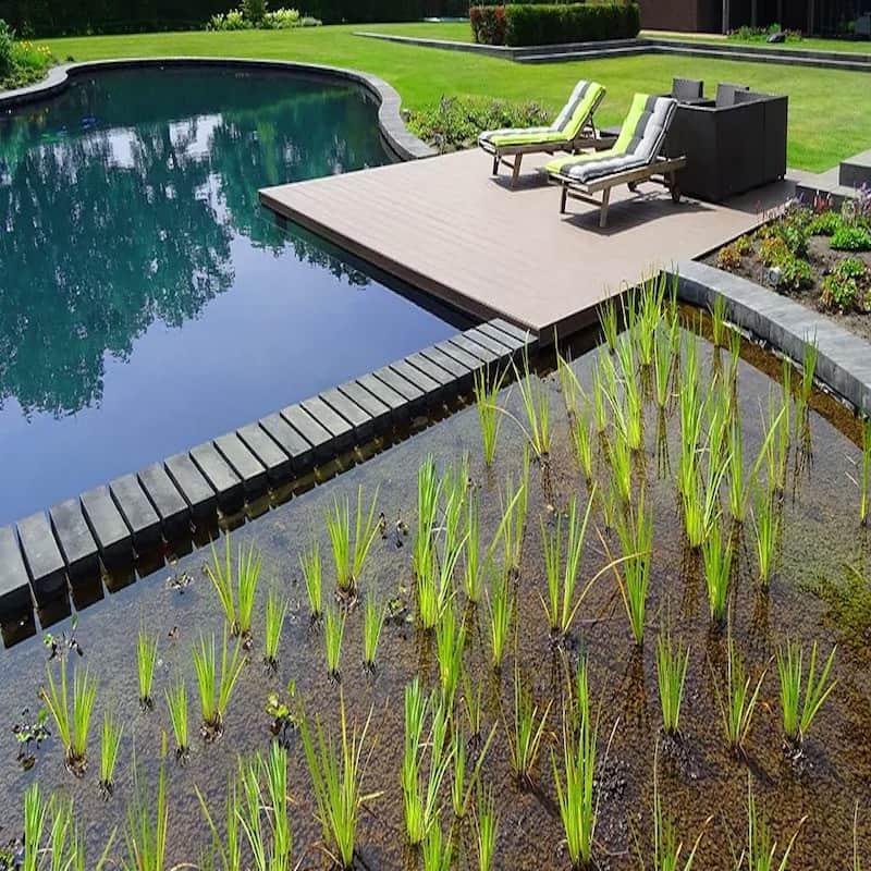 Choisir sa piscine naturelle en kit selon l’espace et le budget