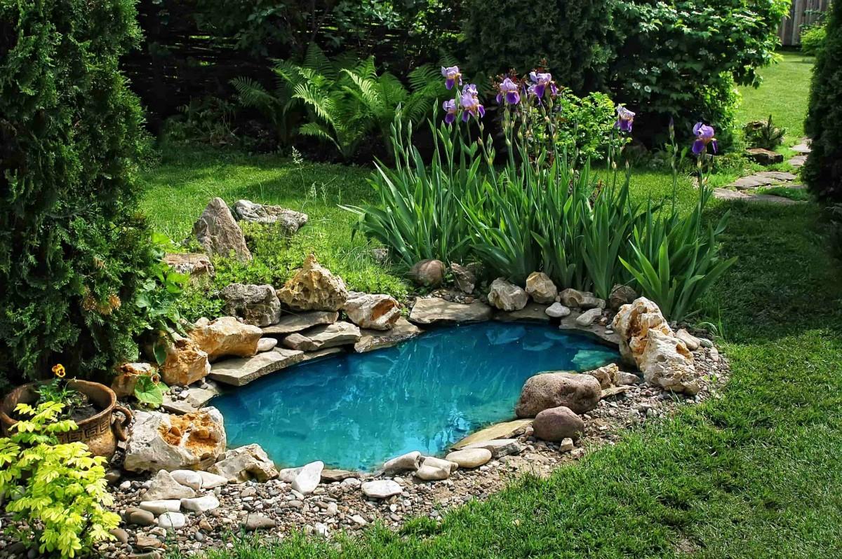 Intégrer une piscine naturelle dans son jardin : conseils d’aménagement et esthétique durable