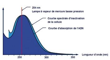 Conseils pratiques pour maximiser l’efficacité du traitement UV tout en garantissant la sécurité